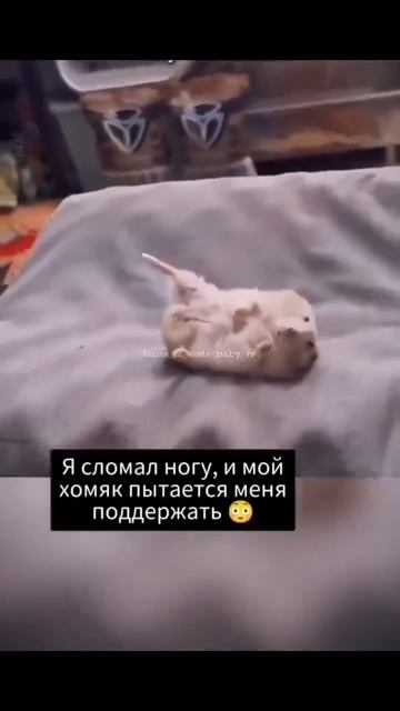 один в один