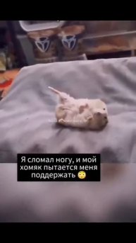 один в один