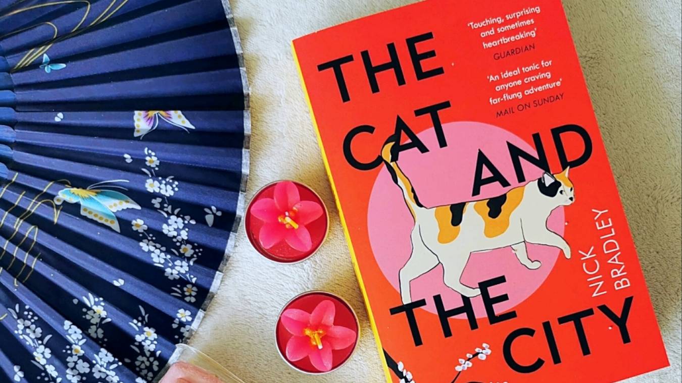The Cat and The City - Course Opening
