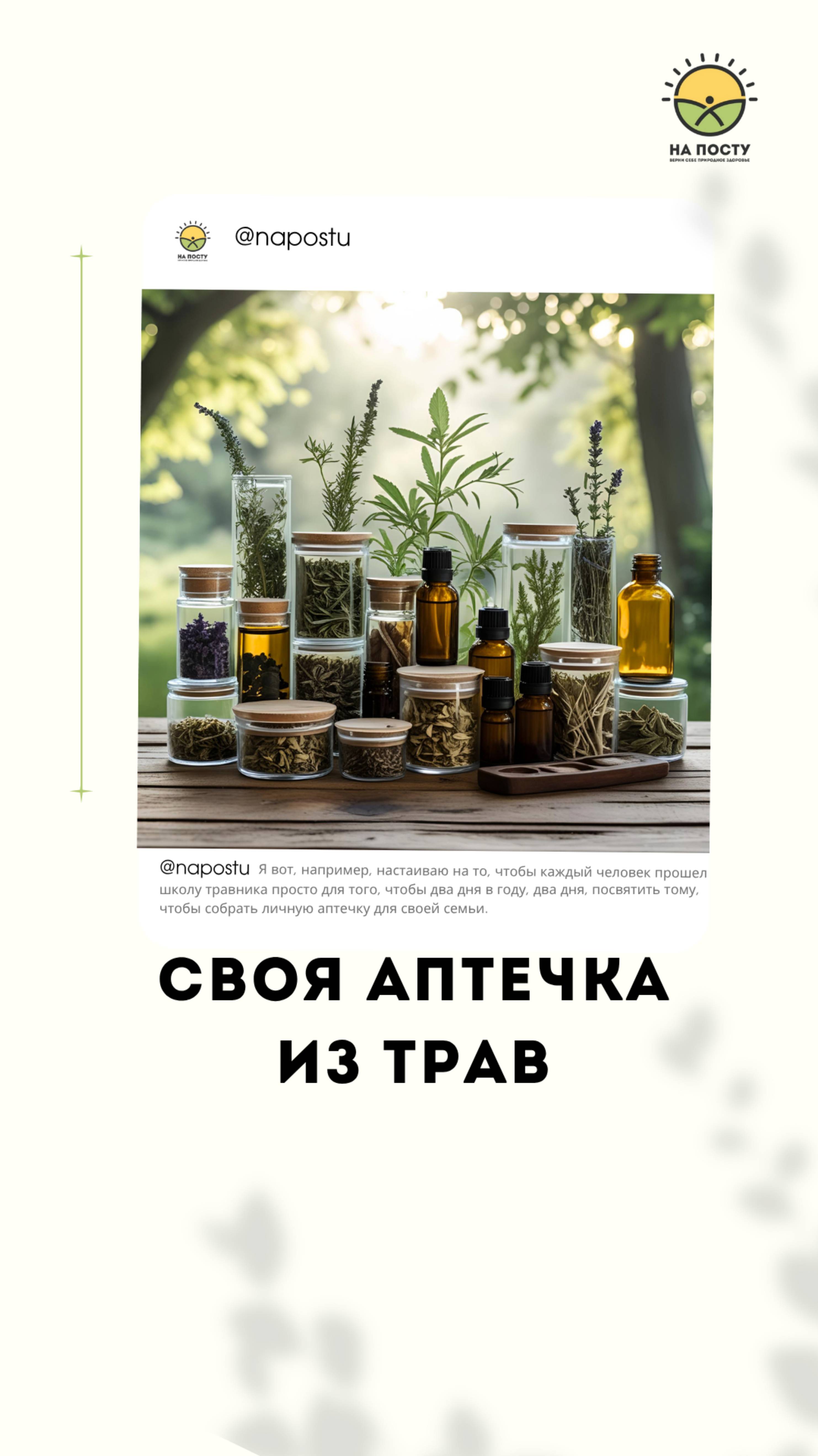 Своя аптечка из трав