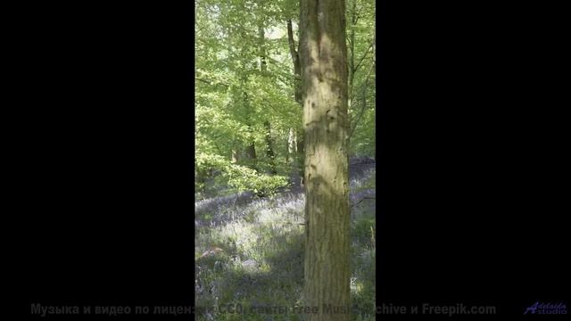 Этот трек под виды - чистый гипноз - Inside Outside -- Derek Clegg -- Faces (re-release)