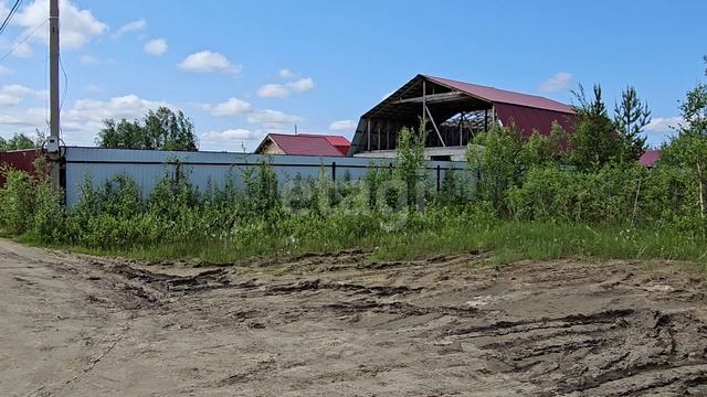 5860930 Возрождение