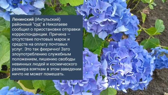 Николаев 16 июня 2025 года (новости)