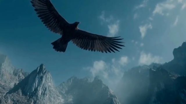 1000001181.mp4