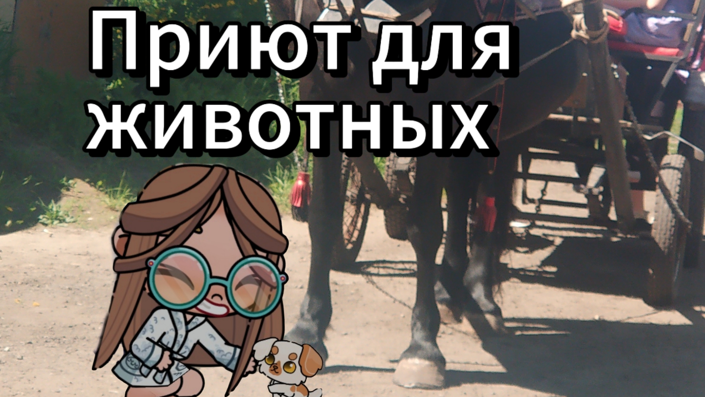 Делаю ПРИЮТ ДЛЯ ЖИВОТНЫХ 😺🐶в аватар ворлд.
