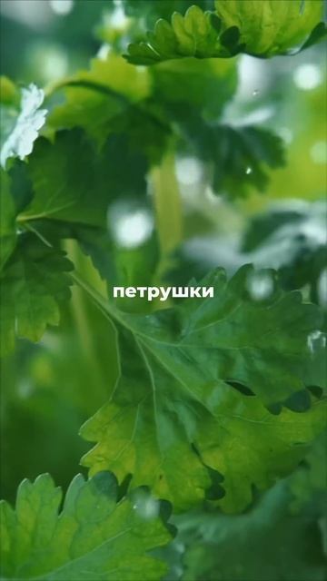 ТГ-канал для записи на консультацию: https://t.me/nutriaromacenter #смузи #детокс