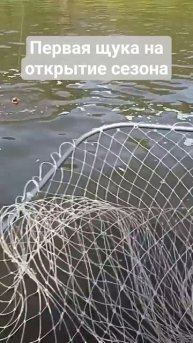 первая щука в сезоне - на "двушку" #рыбалка #fishing #троллинг #щука #щуканавоблер