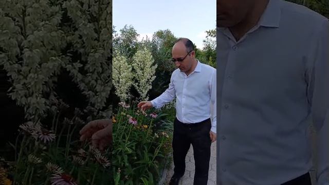 Поздравления с днём медицинского работника!