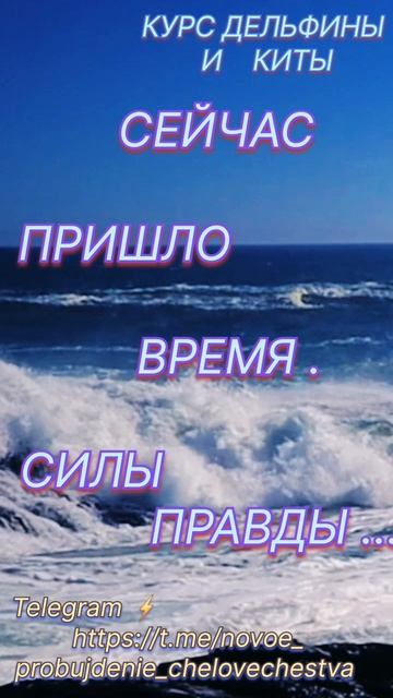 1000000203.mp4