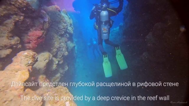 Египет, Дахаб. Дайвинг в Блю Хол, Каньон и Колокольчики