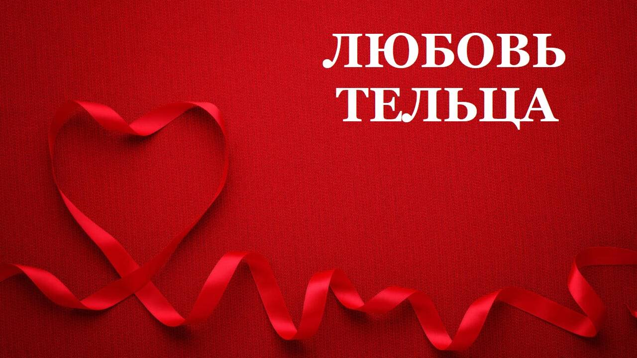 ЛЮБОВЬ ТЕЛЬЦА