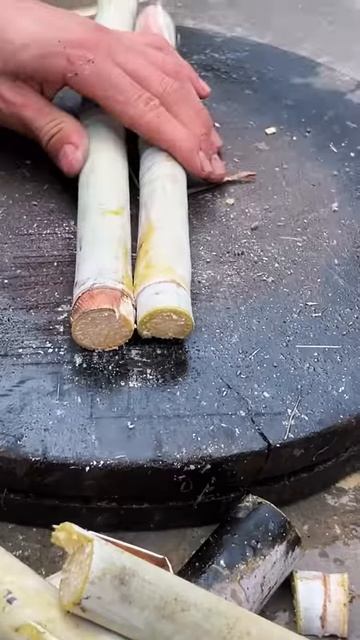 Cut two cane stalks at once #shorts