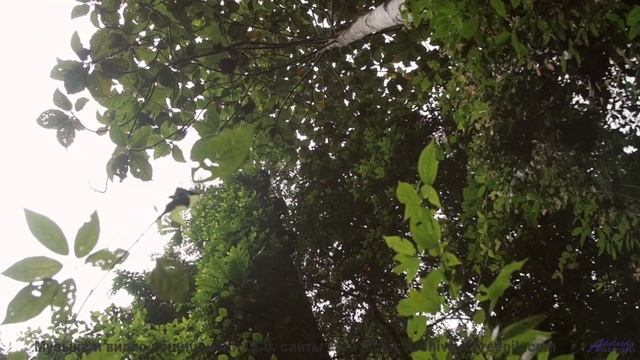 Пейзажи мира, под которыми звучит шедевр - Winds of The West -- Ayla Nereo -- Beheld