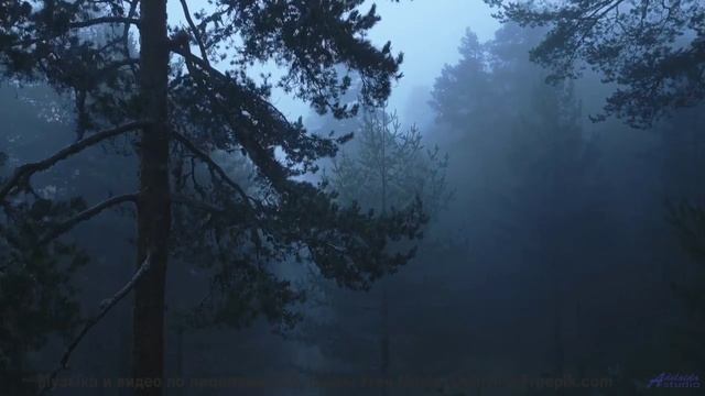 Включите этот трек - и каждый километр станет историей вашей любви - Leave the Bottle -- Forget the