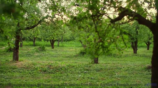 Эта песня звучит так, будто её написал сам ветер в горах! - Запасной -- Фиорд -- Невзялазь