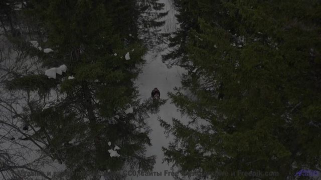 Шёпот волн и нежный синтез! - Cyan Sing -- Tim Woulfe -- A House Is A Holding