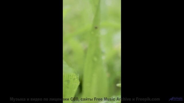 Клип, созданный квантовым компьютером - будущее наступило! - Cant Wait -- Independent Music Licensin