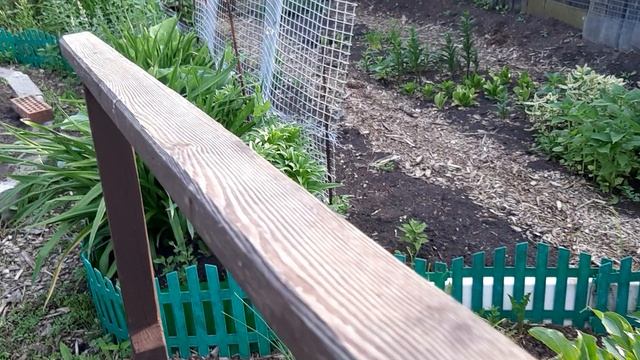 20250615_074122.mp4