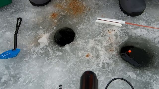 Ловля плотвы зимой. Озернинское водохранилище.