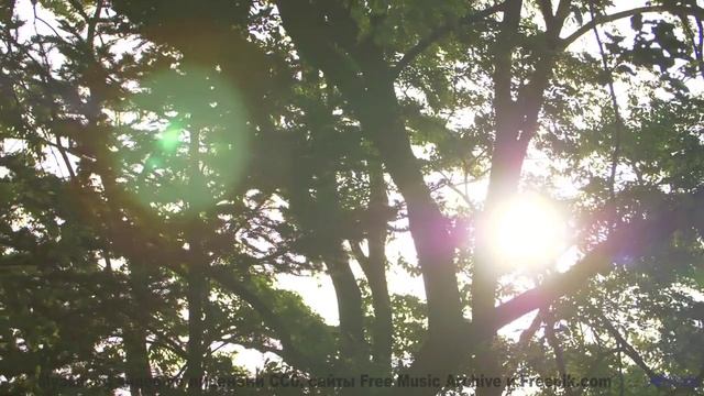 Музыка, которая звучит как голос океана! - Activate Consciousness -- Irama Gema -- Unnamed album
