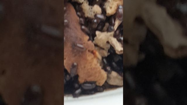 20250615_074724_1.mp4   ЗОЖ