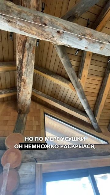 📍Как выглядит потолок из лиственницы после усушки #kelo #соснакело #отделкаизкело