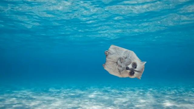 та самая войнушка на море