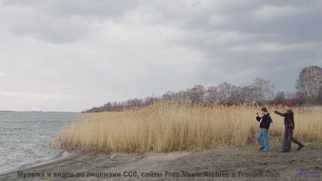 Музыка делает небо ближе и теплее - Платье блинное -- Александр Недугин -- Министерва Любви