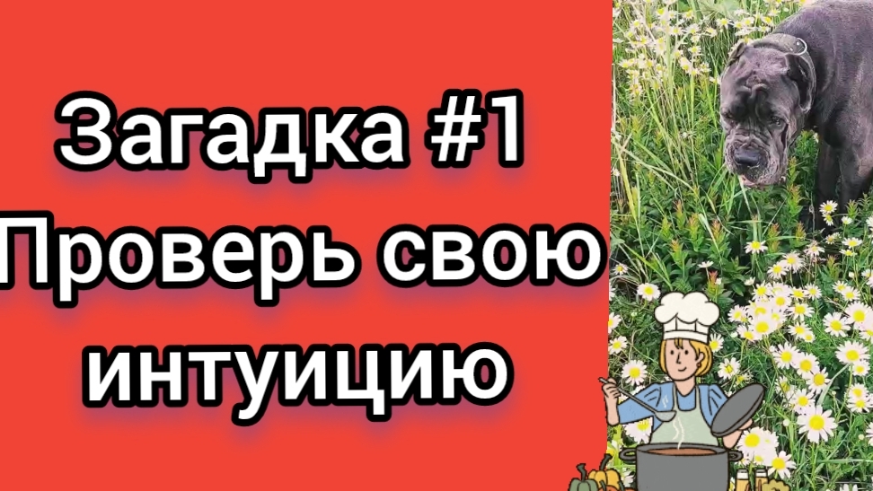 ЗАГАДКА #1 .ПОПРОБУЙ РАЗГАДАТЬ.