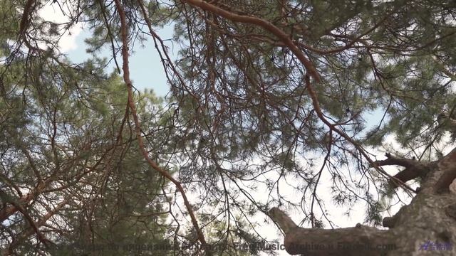 Этот саундтрек - как бриз, который касается вашей души! - Mellow Lo-Fi -- Scott Holmes Music -- Medi