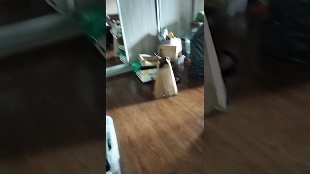 живая коробка