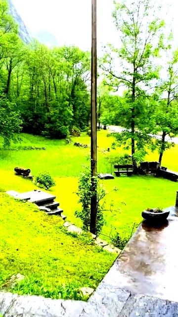 Неожиданный гость в кадре