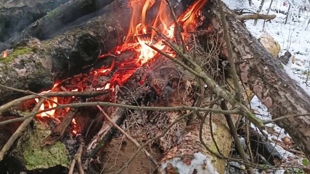 Привал в походе Дедовск - р. Грязевка 2024