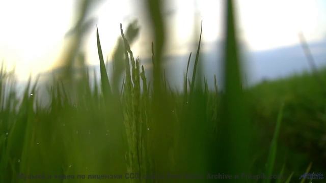 Вам такого не показывали - природа и музыка - Deja Vu -- HoliznaCC0 -- Only In The Milky Way Part 1