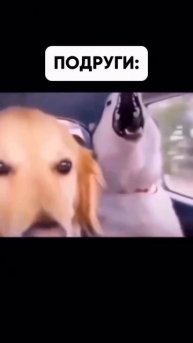 еду с девушками и подругами