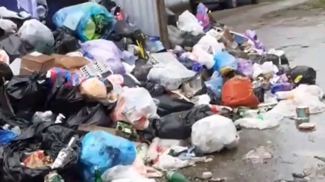 Во всём виновата тёща и тесть СЕНАТОРА.