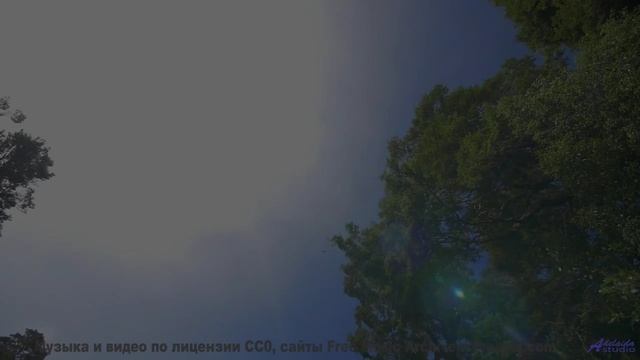 Звуки, которые слышат только просветленные - а вы - Interdimensional Panic Club -- The Polish Ambass