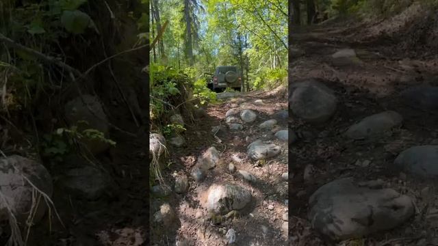 1000074009.mp4