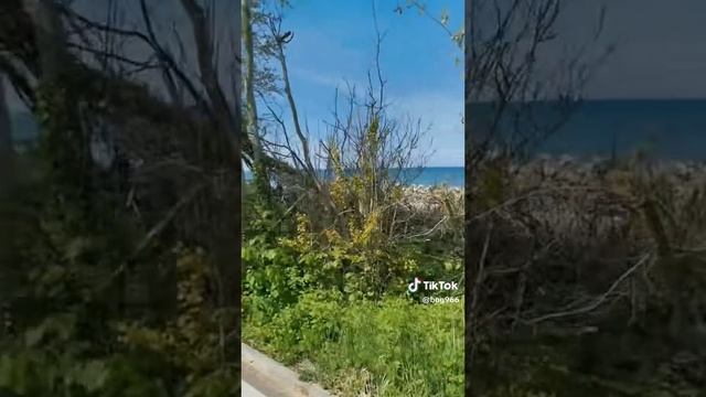 VID_20250614_175211_378.mp4