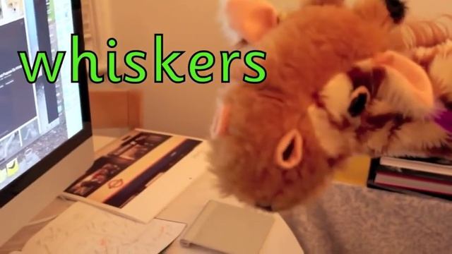 Geraldine the Giraffe learns wh
