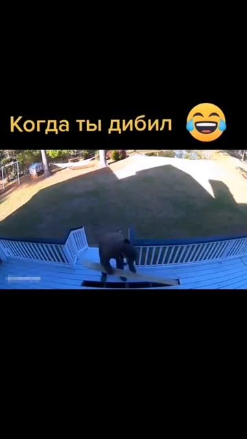 Не забудь подписаться 👍🏻 #смешныевидео #приколы #прикол #прикольноевидео #смешноевидео #стендап