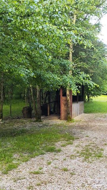 Юкка в Пшаде #поход #дольмены #краснодарскийкрай #растения