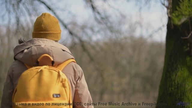 Лучшая музыка года - на фоне рая - On Sale -- Golden Duck Orchestra -- Golden Duck Orchestra 1st EP