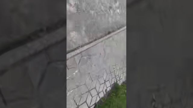 Звуковая карта моего двора 🔊