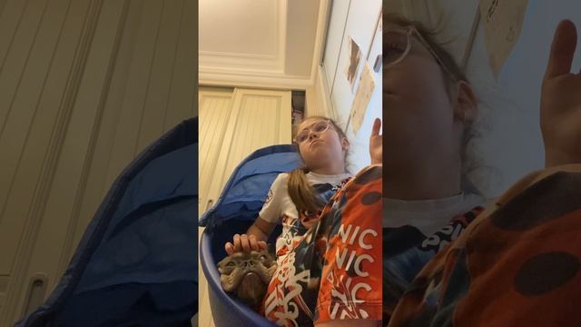 Как ухаживать за французским бульдогом🐶