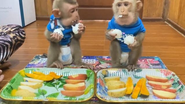 Обезьянки едят фрукты НА ДВОИХ СООБРАЖАЮТ Всех КТО СМОТРИТ РАЗВЛЕКАЮТ