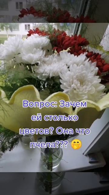 Школьные годы..