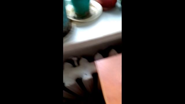 3 сезон 4 серия