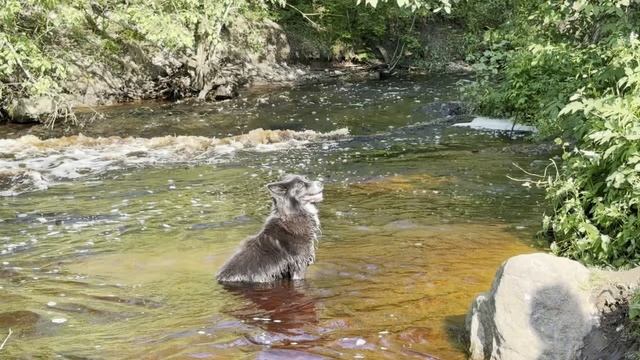 Саблинские водопады и люпиновые поля