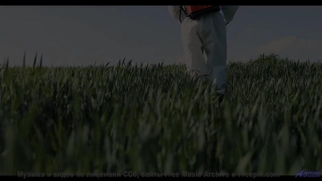 Вы не сможете усидеть на месте - проверьте! - In-Check -- Ketsa -- Collective Consciousness